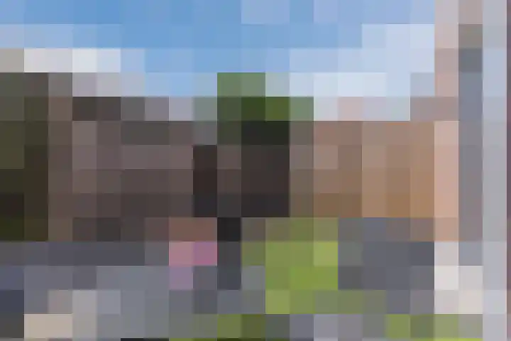 Molenstraat 2 G Hapert thumbnail 22