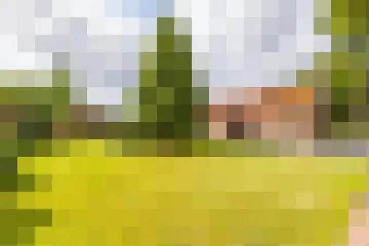 Molenstraat 2 Gasselte thumbnail 10