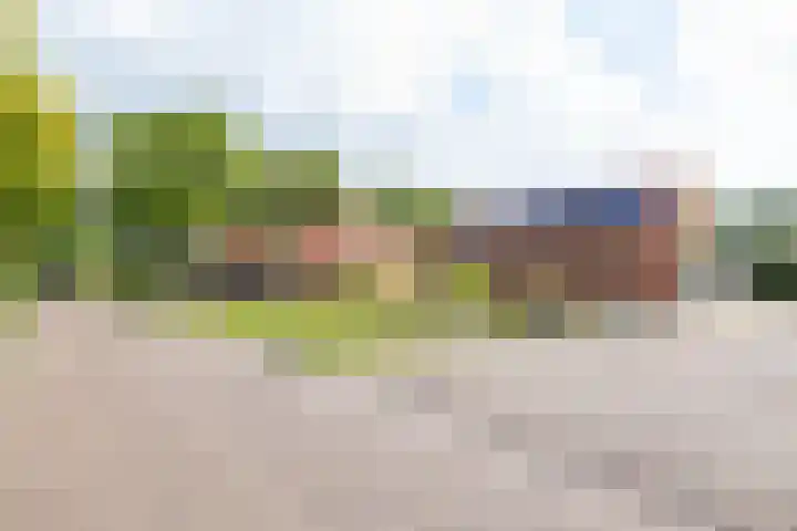 Molenstraat 2 Gasselte thumbnail 11
