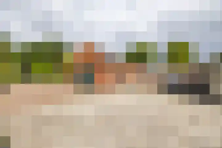Molenstraat 2 Gasselte thumbnail 15