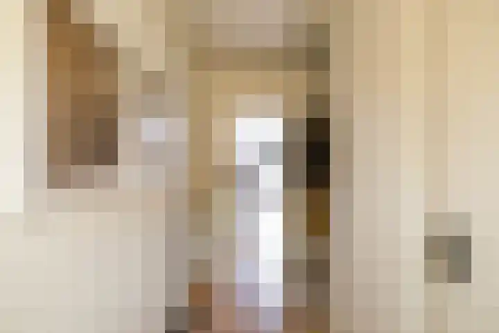 Molenstraat 2 Gasselte thumbnail 16