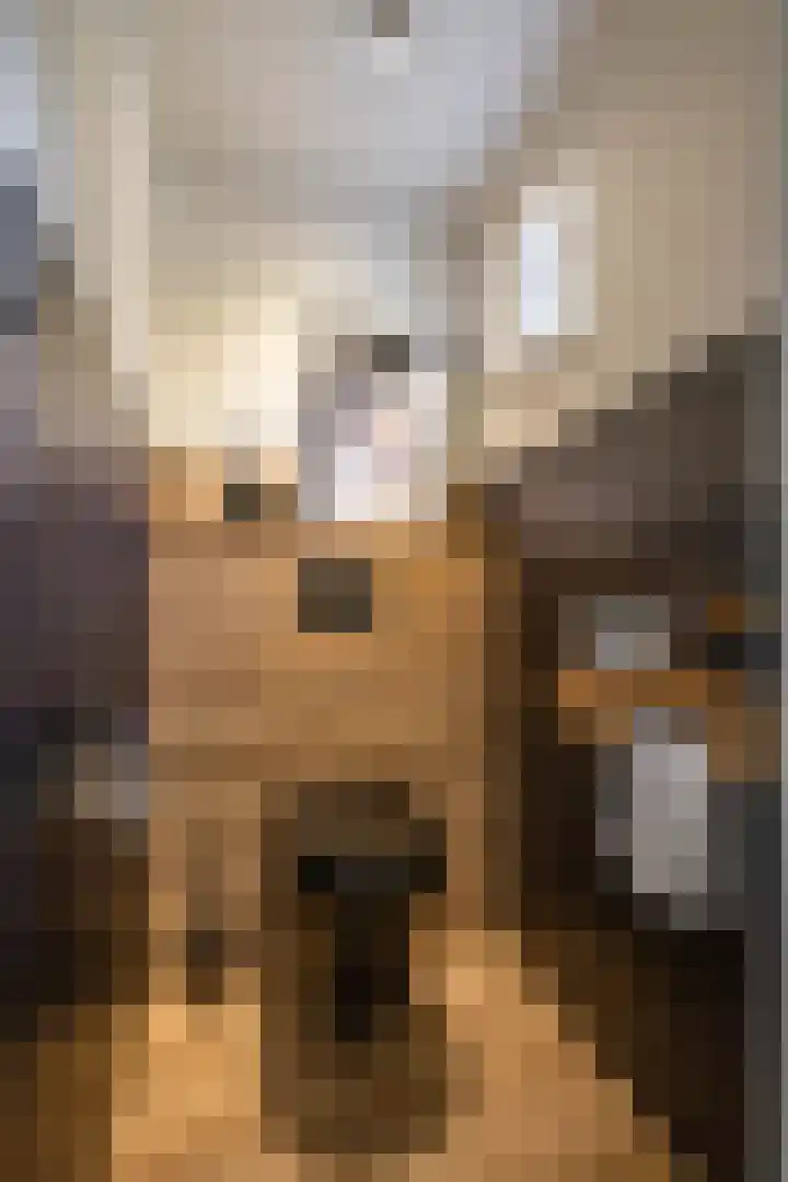 Molenstraat 2 Gasselte thumbnail 18