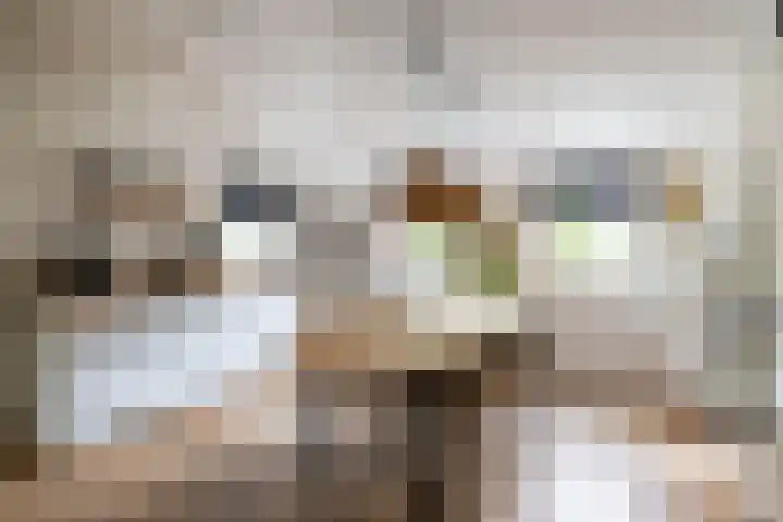 Molenstraat 2 Gasselte thumbnail 20