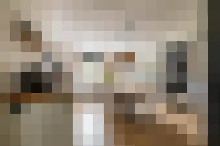 Molenstraat 2 Gasselte thumbnail 21