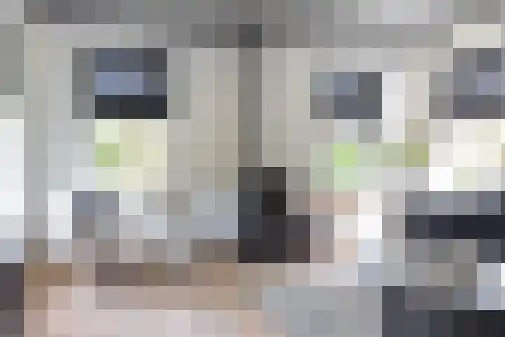 Molenstraat 2 Gasselte thumbnail 27