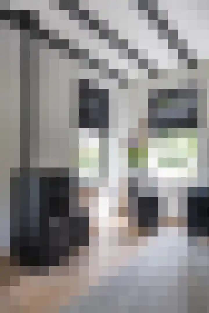 Molenstraat 2 Gasselte thumbnail 28