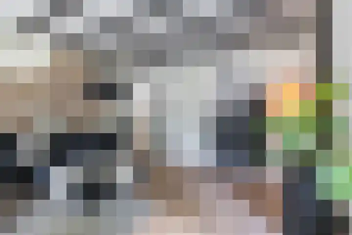 Molenstraat 2 Gasselte thumbnail 31