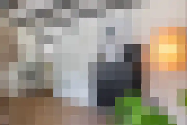 Molenstraat 2 Gasselte thumbnail 32