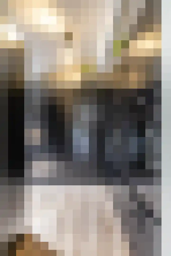 Molenstraat 2 Gasselte thumbnail 35