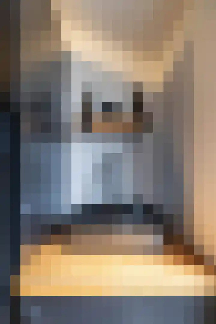 Molenstraat 2 Gasselte thumbnail 36
