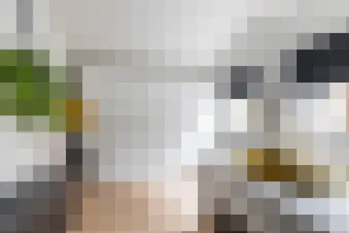 Molenstraat 2 Gasselte thumbnail 44