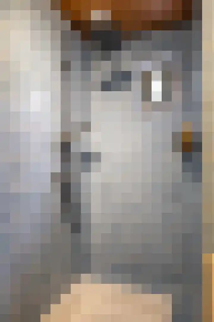 Molenstraat 2 Gasselte thumbnail 50