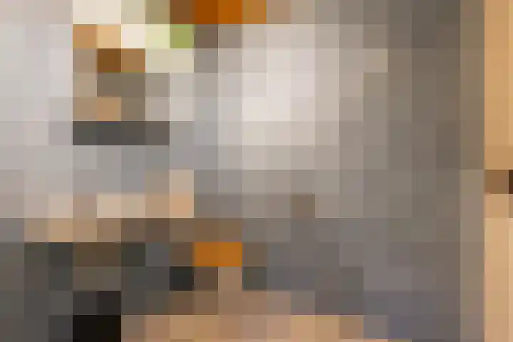 Molenstraat 2 Gasselte thumbnail 51
