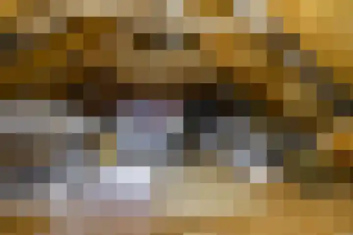 Molenstraat 2 Gasselte thumbnail 54