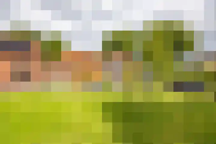 Molenstraat 2 Gasselte thumbnail 58