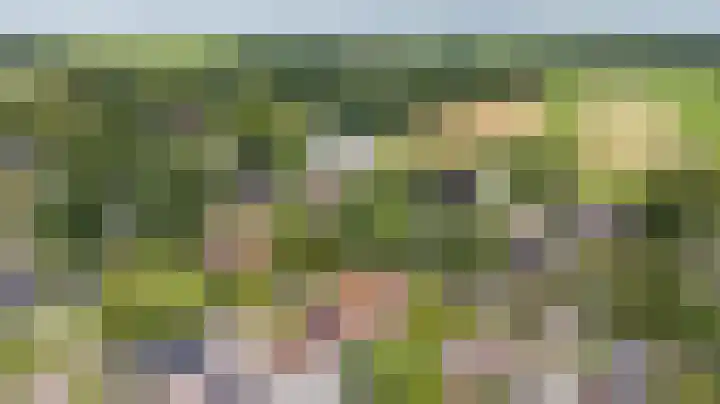 Molenstraat 2 Gasselte thumbnail 6