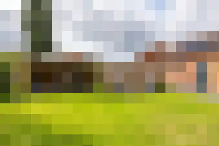Molenstraat 2 Gasselte thumbnail 62