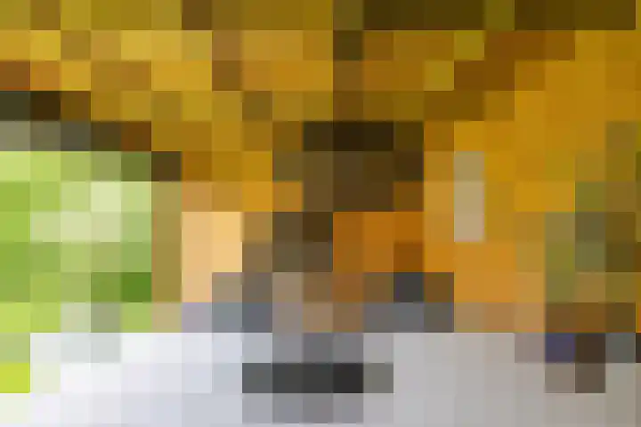 Molenstraat 2 Gasselte thumbnail 65