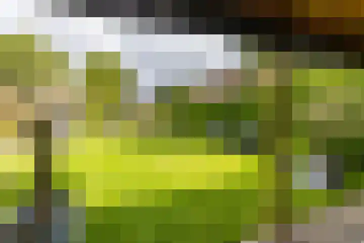Molenstraat 2 Gasselte thumbnail 66