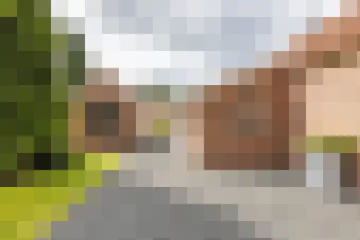 Molenstraat 2 Gasselte thumbnail 72