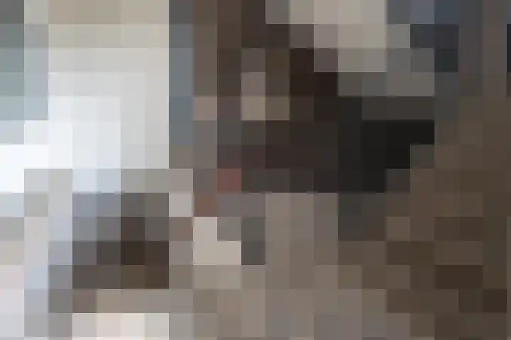 Molenstraat 2 Goor thumbnail 11