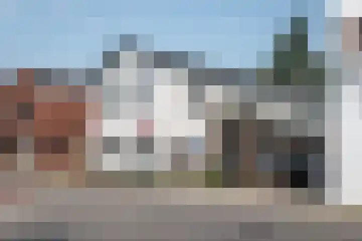 Molenstraat 2 Goor thumbnail 13