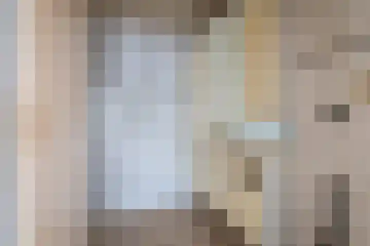 Molenstraat 2 Goor thumbnail 8
