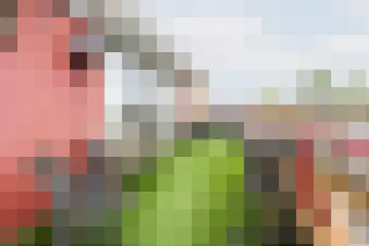 Molenstraat 20 Etten thumbnail 32