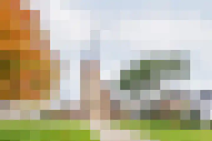 Molenstraat 20 Etten thumbnail 41