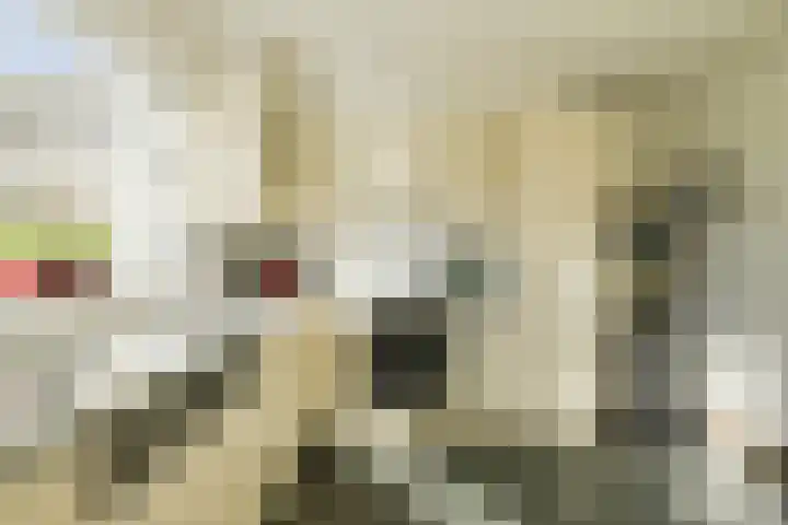 Molenstraat 20 Terheijden thumbnail 19