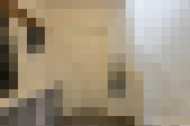 Molenstraat 20 Terheijden thumbnail 27