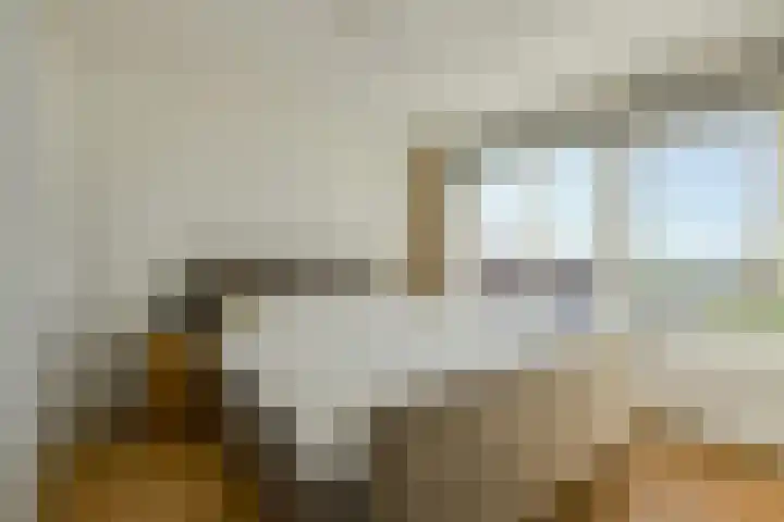 Molenstraat 20 Terheijden thumbnail 28