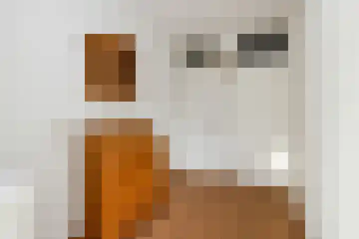 Molenstraat 201 Oss thumbnail 34