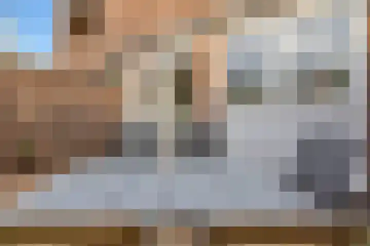 Molenstraat 201 Oss thumbnail 43