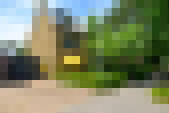 Molenstraat 202 Monster