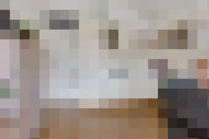Molenstraat 207 Oss thumbnail 14