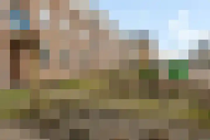Molenstraat 207 Oss thumbnail 35