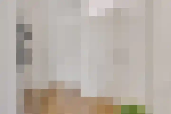 Molenstraat 207 Oss thumbnail 8