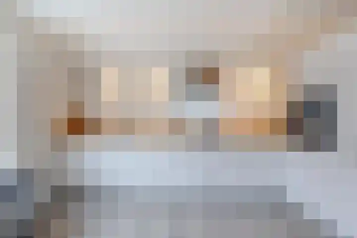 Molenstraat 21 Ameide thumbnail 21