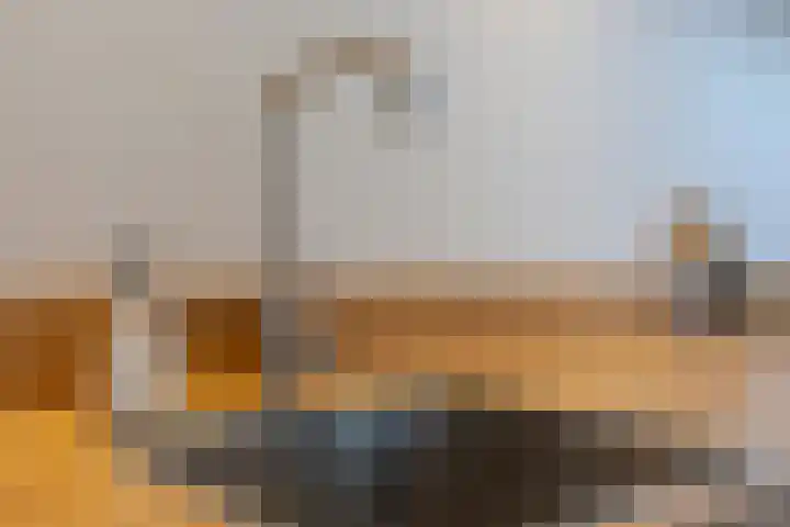 Molenstraat 21 Ameide thumbnail 24