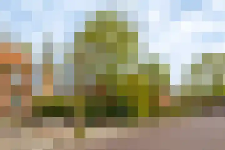 Molenstraat 21 Ameide thumbnail 41