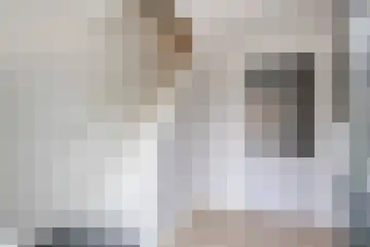 Molenstraat 21 Ameide thumbnail 7