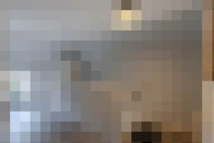 Molenstraat 21 Ameide thumbnail 8