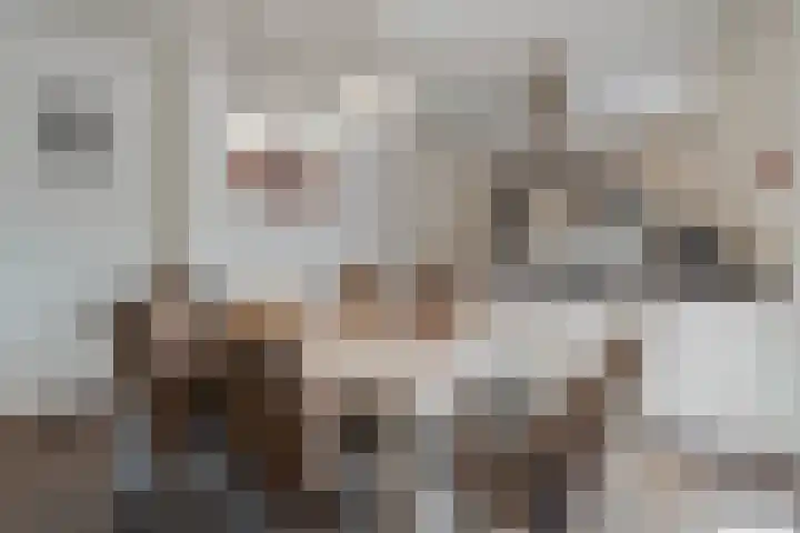 Molenstraat 21 Swolgen thumbnail 11