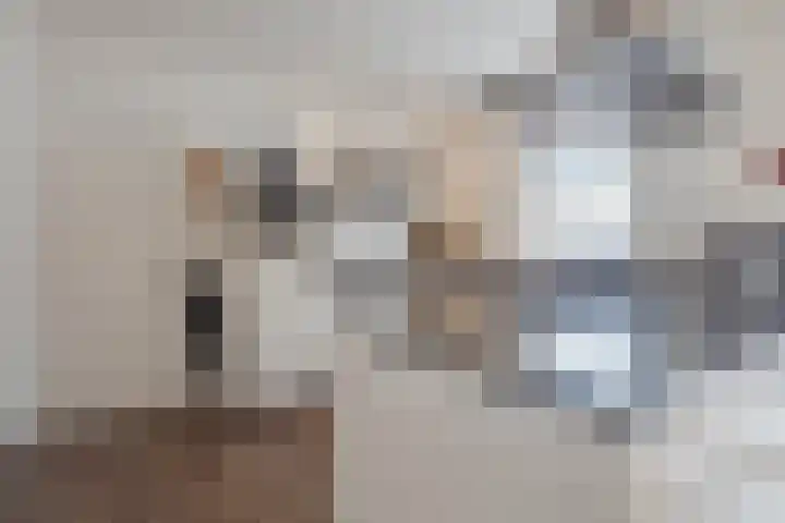 Molenstraat 21 Swolgen thumbnail 13