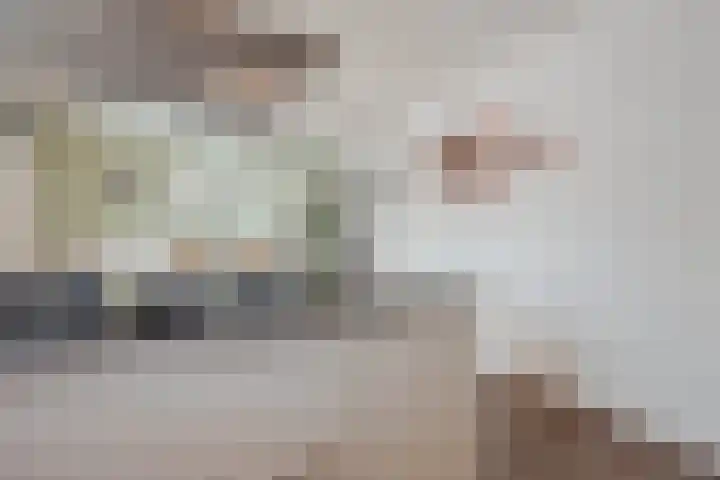 Molenstraat 21 Swolgen thumbnail 14