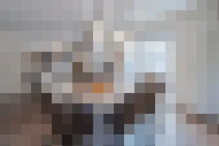 Molenstraat 21 Swolgen thumbnail 4