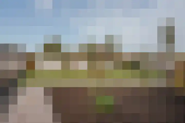 Molenstraat 21 Swolgen thumbnail 40