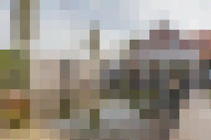 Molenstraat 21 Swolgen thumbnail 41