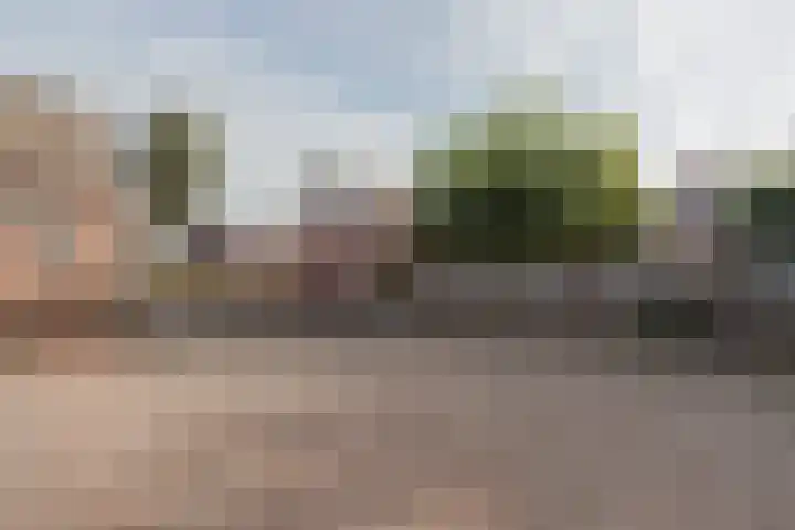 Molenstraat 21 Swolgen thumbnail 47